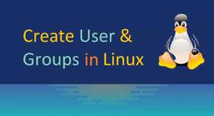 user and groups