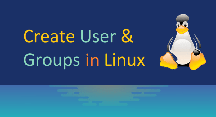 How to create Users and Groups in Linux – Osgrove